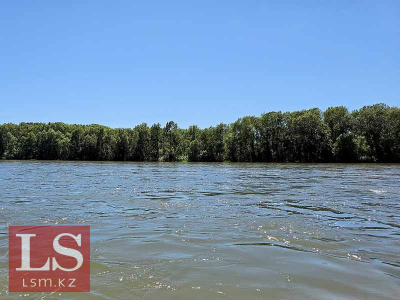 Дипломатия чистой воды: как Казахстан решает вопросы с соседями