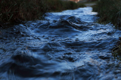 В реке Жайык наблюдается постепенный спад уровня воды