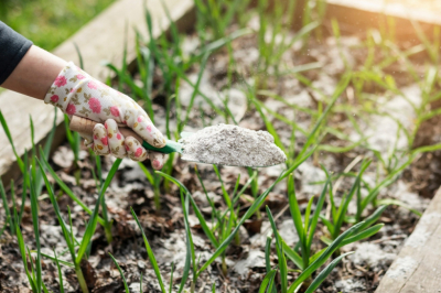 Никакой лопаты и тяпки: рассыпьте это по грядкам в марте &mdash; земля будет рыхлой и благородной