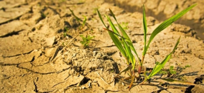 Прогноз засухи на июль опубликовал Казгидромет