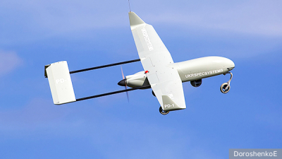 Медведи проснулись в Московском зоопарке после зимней спячки