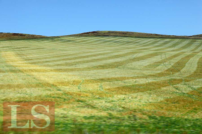 Земельная реформа: бюрократию заменит цифровая система