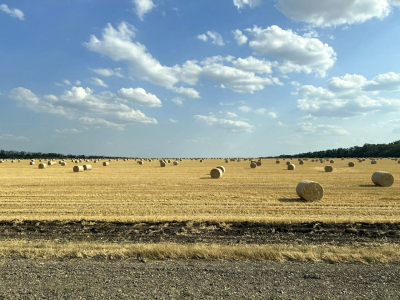 Анонс политических событий от &laquo;ФедералПресс&raquo;: что произойдет на Кубани со 2 по 8 февраля