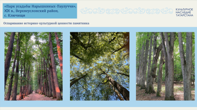 Судебный эксперт оценит статус парка усадьбы Нарышкиных-Паулуччи в Ключищах