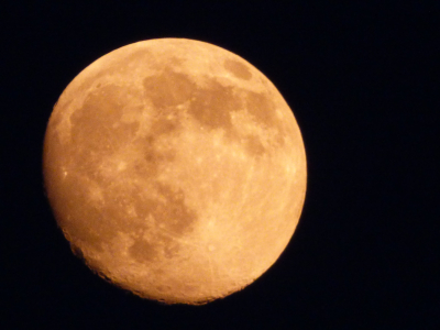 Маск рассказал о городе на Луне, который он построит в ближайшие десять лет