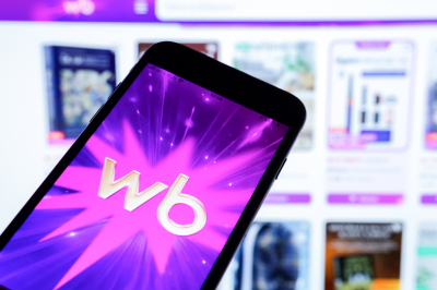 Если случится крах Wildberries: оживет ли обычная торговля &mdash; что будет с экономикой