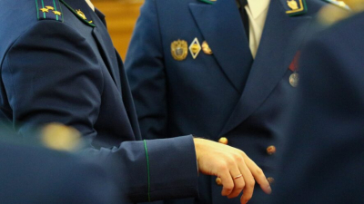 Мертвые животные на дороге: прокуратура РТ добилась установки отбойников на трассе М12 05/02/2026 &ndash; Новости