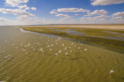 Свыше 2 миллиардов кубометров воды подано за 2023 год в Северное Аральское море