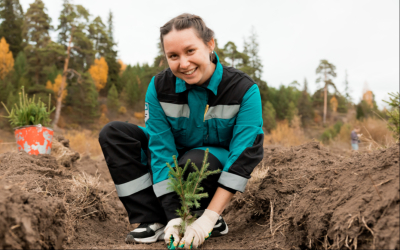 СИБУР и власти Татарстана посадят лесополосы для защиты рек от загрязнения