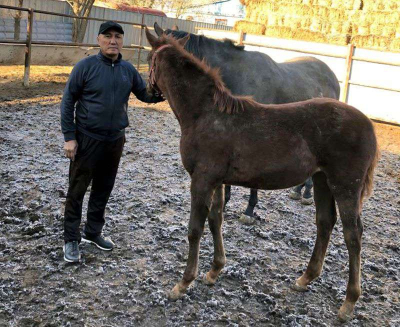 Успеха без развития не бывает