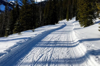 В Костомукше отменили биатлонный этап Кубка Анны Богалий из-за отсутствия снега