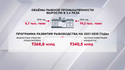 Объёмы рыбной промышленности растут в Казахстане