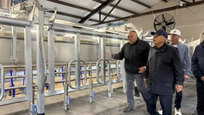 Минниханову показали строящийся в Апастовском районе молочный комплекс на 400 голов 14/08/2026 &ndash; Новости