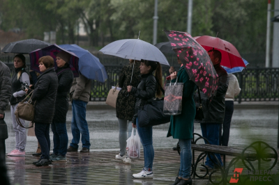 Погода в Новосибирске во второй половине сентября 2026 года: сначала бабье лето, потом глубокая осень
