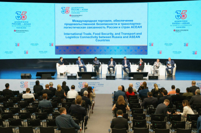 Нацвалюты, свободная торговля и цифровые платформы: как Россия будет развивать связи с АСЕАН