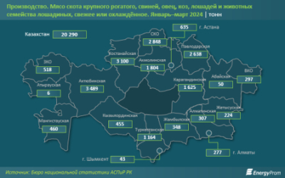 Мясо и мясопродукты подорожали на 6% за год