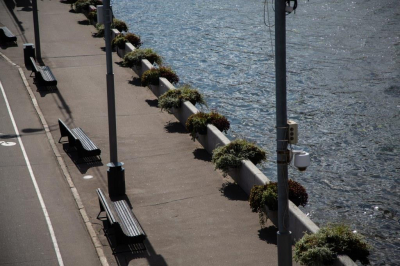 Финогенова: самым выгодным месяцем для отпуска в 2026 году станет июль