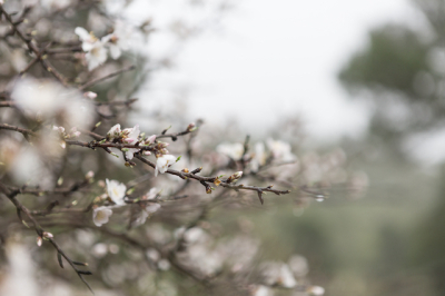 13-градусное тепло и солнце&nbsp;ожидаются&nbsp;в центре России во второй половине марта