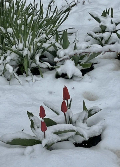 В Татарстане в ближайшие дни ожидаются дожди и до +17 градусов