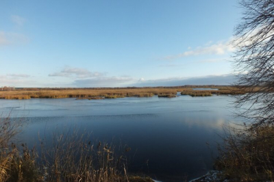 Съезд &laquo;Вода России&raquo; объединит волонтеров в Набережных Челнах