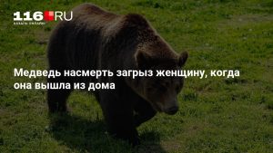Медведь насмерть загрыз женщину, когда она вышла из дома