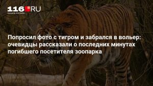 Попросил фото с тигром и забрался в вольер: очевидцы рассказали о последних минутах погибшего посетителя зоопарка