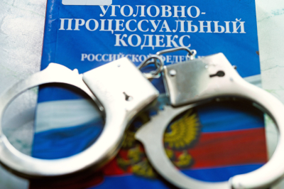В Госдуме оценили эффект от уголовной статьи для дропперов